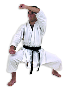 Blackbelt performing kata image