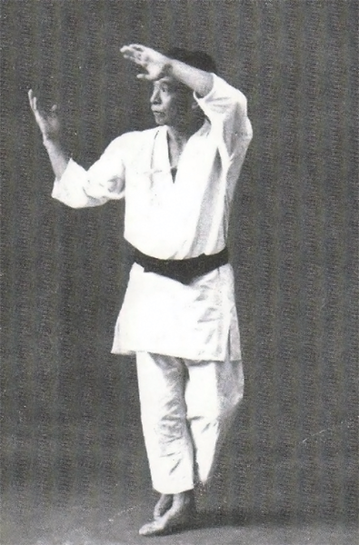 Master Choshin Chibana image