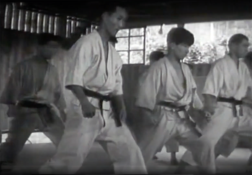 Karateka image