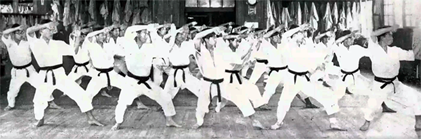 Karate-ka image